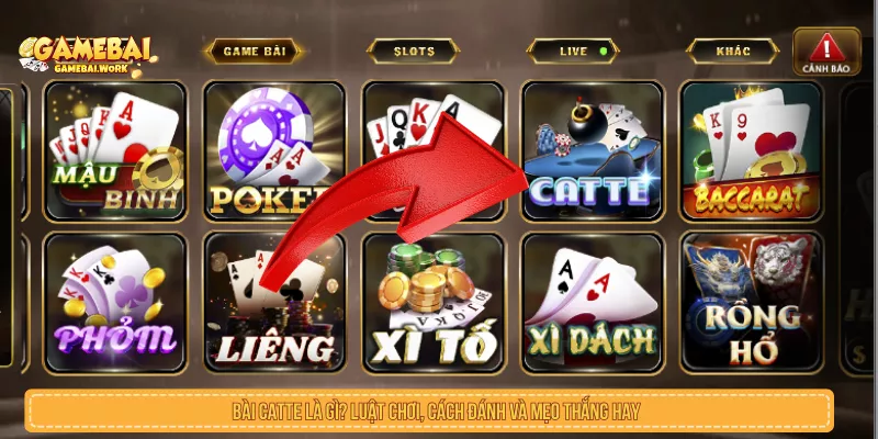 Cách Chơi Bài Catte Và Hướng Dẫn Cách Đánh Và Mẹo Thắng Hay Bài Catte Là Gì? Luật Chơi, Cách Đánh Và Mẹo Thắng Hay